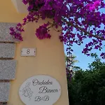 Orchidea Bianca 2*