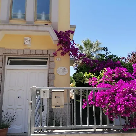 Bed & Breakfast Orchidea Bianca
