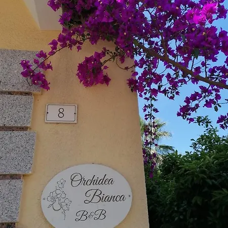 Orchidea Bianca 2*