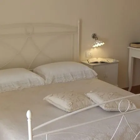 Orchidea Bianca Fasano