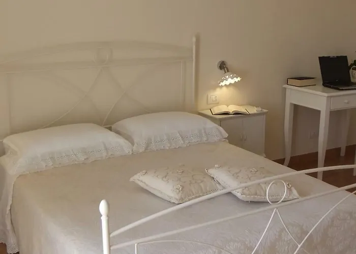 Orchidea Bianca Fasano